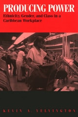 cover of Producing Power: Ethnicity, Gender, and Class in a Caribbean Workplace