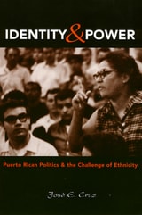 cover of Identity And Power: Puerto Rican Politics and the Challenge of Ethnicity