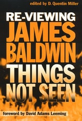cover of Re-Viewing James Baldwin
