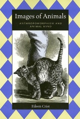 cover of Images Of Animals