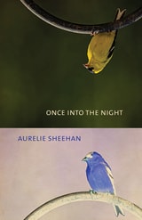 cover of Once into the Night
