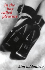 cover of In The Box Called Pleasure