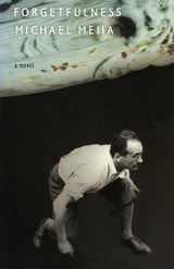 cover of Forgetfulness: A Novel