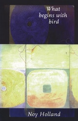 cover of What Begins with Bird: Fictions