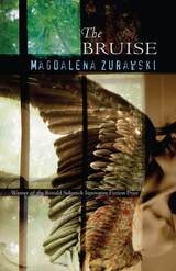 cover of The Bruise