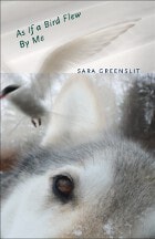 cover of As If a Bird Flew By Me: A Novel