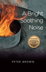 cover of A Bright Soothing Noise