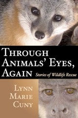 cover of Through Animals' Eyes, Again: Stories of Wildlife Rescue 