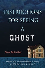 cover of Instructions for Seeing a Ghost