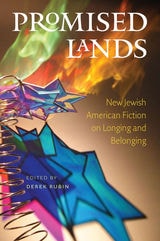 cover of Promised Lands
