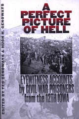cover of A Perfect Picture Of Hell: Eyewitness Accounts By Civil War Prisoners From 12Th Io
