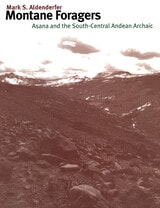 cover of Montane Foragers: Asana and the South-Central Andean Archaic