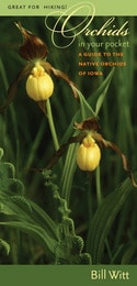 cover of Orchids in Your Pocket: A Guide to the Native Orchids of Iowa (10-pack)