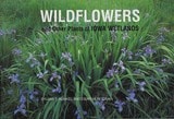 cover of Wildflowers and Other Plants of Iowa Wetlands
