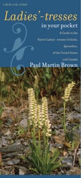 cover of Ladies'-tresses in Your Pocket: A Guide to the Native Ladies'-tresses Orchids, Spiranthes, of the United States and Canada