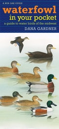 cover of Waterfowl in Your Pocket: A Guide to Water Birds of the Midwest