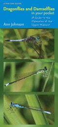 cover of Dragonflies and Damselflies in Your Pocket: A Guide to the Odonates of the Upper Midwest