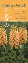 cover of Fringed Orchids in Your Pocket: A Guide to Native Platanthera Species of the Continental United States and Canada