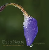 cover of Deep Nature: Photographs from Iowa