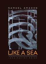 cover of Like a Sea