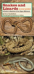 cover of Snakes and Lizards in Your Pocket: A Guide to Reptiles of the Upper Midwest
