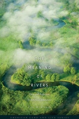 cover of The Meaning of Rivers: Flow and Reflection in American Literature