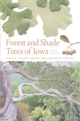 cover of Forest and Shade Trees of Iowa