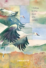 cover of I Follow in the Dust She Raises