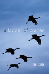 cover of Ladder of Cranes