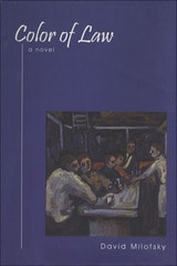 cover of Color of Law: A Novel
