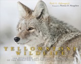 cover of Yellowstone Wildlife: Ecology and Natural History of the Greater Yellowstone Ecosystem