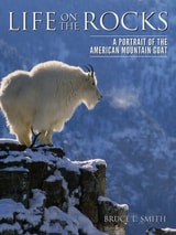 cover of Life on the Rocks: A Portrait of the American Mountain Goat