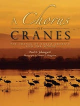 cover of Chorus of Cranes: The Cranes of North America and the World