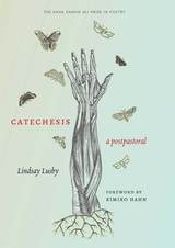 cover of Catechesis: A Postpastoral