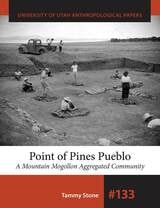 cover of Point of Pines Pueblo: A Mountain Mogollon Aggregated Community