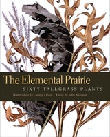 cover of The Elemental Prairie: Sixty Tallgrass Plants