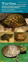 cover of Turtles in Your Pocket: A Guide to Freshwater and Terrestrial Turtles of the Upper Midwest