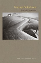 cover of Natural Selections