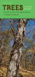 cover of Trees in Your Pocket: A Guide to Trees of the Upper Midwest