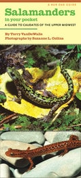 cover of Salamanders in Your Pocket: A Guide to Caudates of the Upper Midwest
