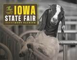 cover of The Iowa State Fair
