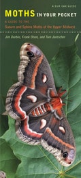 cover of Moths in Your Pocket: A Guide to the Saturn and Sphinx Moths of the Upper Midwest