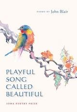 cover of Playful Song Called Beautiful