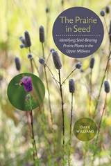 cover of The Prairie in Seed: Identifying Seed-Bearing Prairie Plants in the Upper Midwest