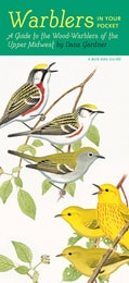 cover of Warblers in Your Pocket: A Guide to Wood-Warblers of the Upper Midwest