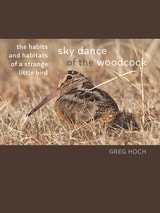 cover of Sky Dance of the Woodcock: The Habits and Habitats of a Strange Little Bird