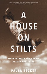 cover of A House on Stilts: Mothering in the Age of Opioid Addiction