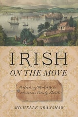 cover of Irish on the Move: Performing Mobility in American Variety Theatre