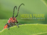 cover of Hidden Prairie: Photographing Life in One Square Meter