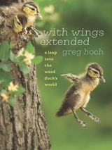 cover of With Wings Extended: A Leap into the Wood Duck's World